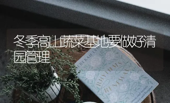 冬季高山蔬菜基地要做好清园管理 | 蔬菜种植