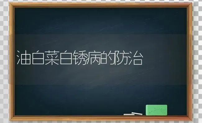 蔬菜在冬季生长缓慢的原因及应对措施 | 蔬菜种植