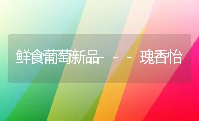 鲜食葡萄新品---瑰香怡 | 瓜果种植