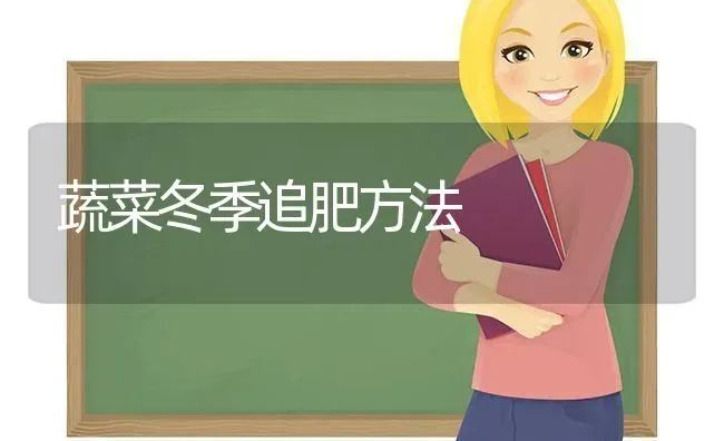 蔬菜冬季追肥方法 | 蔬菜种植