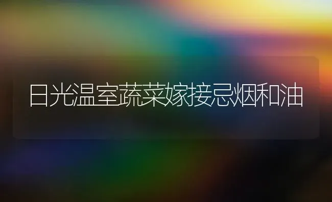 日光温室蔬菜嫁接忌烟和油 | 蔬菜种植