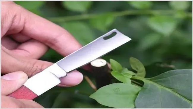 果树嫁接时间与方法 | 农业科普