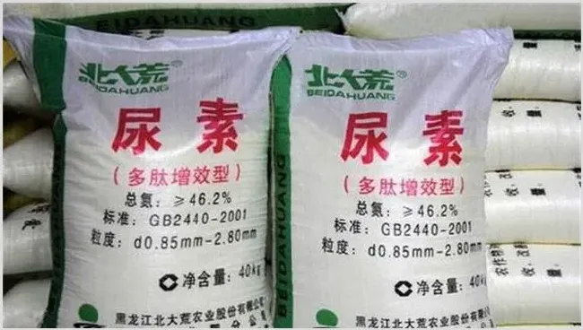如何提高尿素利用率 | 农业技术