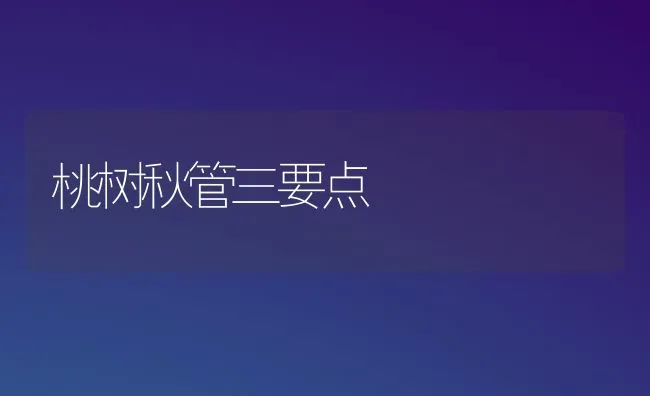 桃树秋管三要点 | 瓜果种植