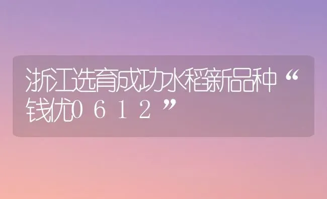 浙江选育成功水稻新品种“钱优0612” | 粮油作物种植