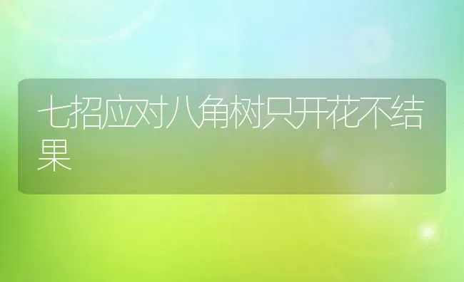 七招应对八角树只开花不结果 | 瓜果种植