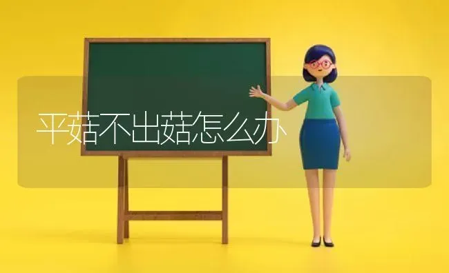 平菇不出菇怎么办 | 食用菌种植