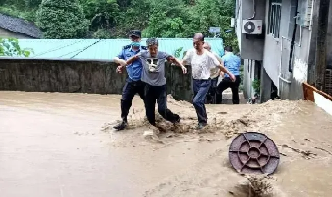 植物种类|陕西紫阳暴雨洪水穿房而过 提醒着我们保护地球