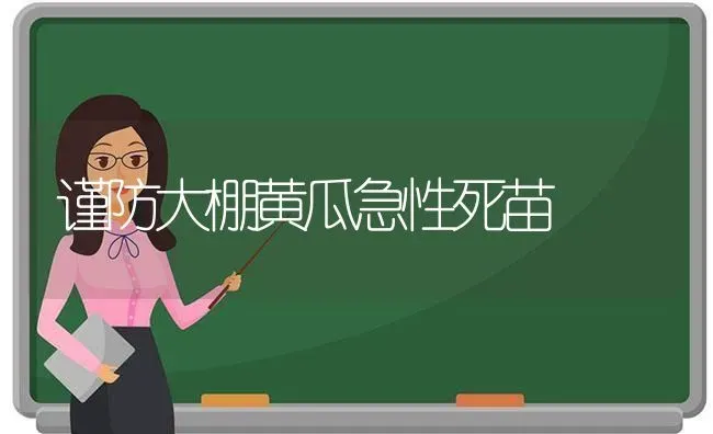 谨防大棚黄瓜急性死苗 | 蔬菜种植