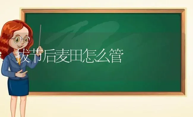 果树施氮肥有四忌 | 瓜果种植