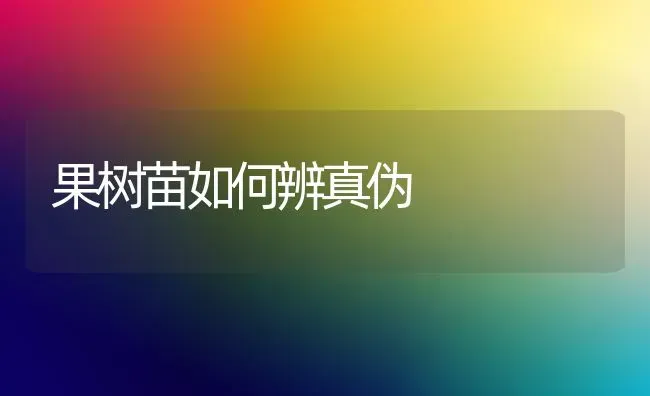 果树苗如何辨真伪 | 瓜果种植