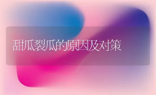 甜瓜裂瓜的原因及对策 | 瓜果种植