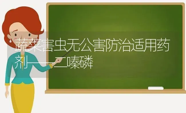 蔬菜害虫无公害防治适用药剂——二嗪磷 | 蔬菜种植