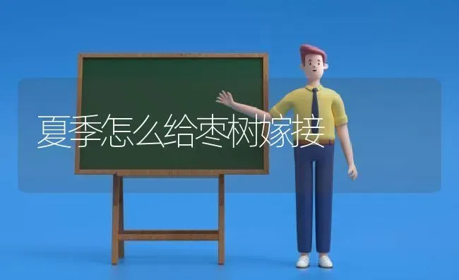 夏季怎么给枣树嫁接 | 瓜果种植