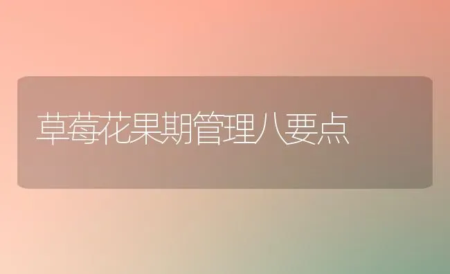 草莓花果期管理八要点 | 瓜果种植