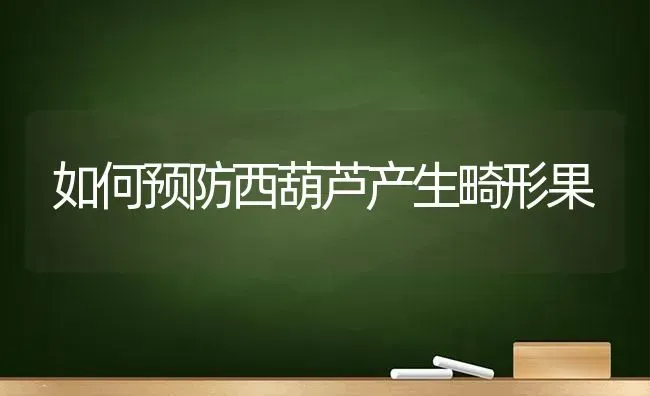 如何预防西葫芦产生畸形果 | 瓜果种植