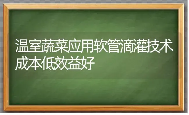 温室蔬菜应用软管滴灌技术成本低效益好 | 蔬菜种植