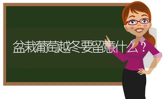 盆栽葡萄越冬要留意什么？ | 瓜果种植