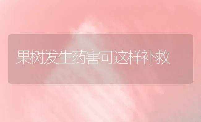 果树发生药害可这样补救 | 瓜果种植