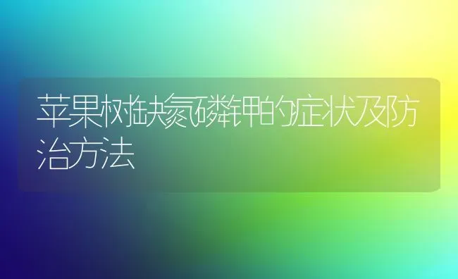 苹果树缺氮磷钾的症状及防治方法 | 瓜果种植