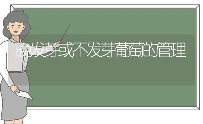 晚发芽或不发芽葡萄的管理 | 瓜果种植