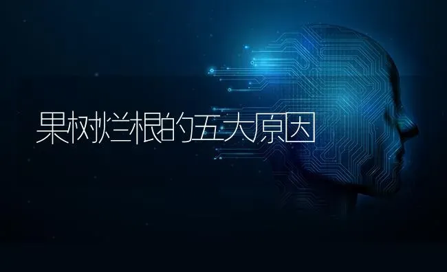 果树烂根的五大原因 | 瓜果种植