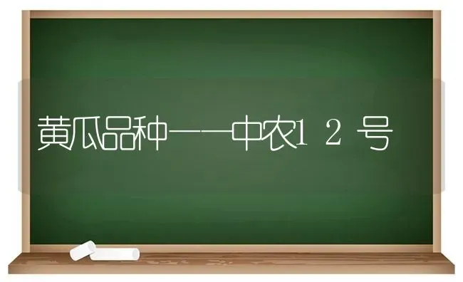 黄瓜品种——中农12号 | 蔬菜种植