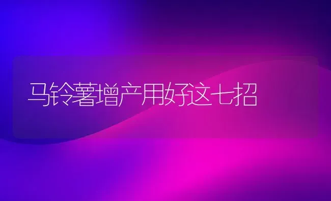 马铃薯增产用好这七招 | 粮油作物种植