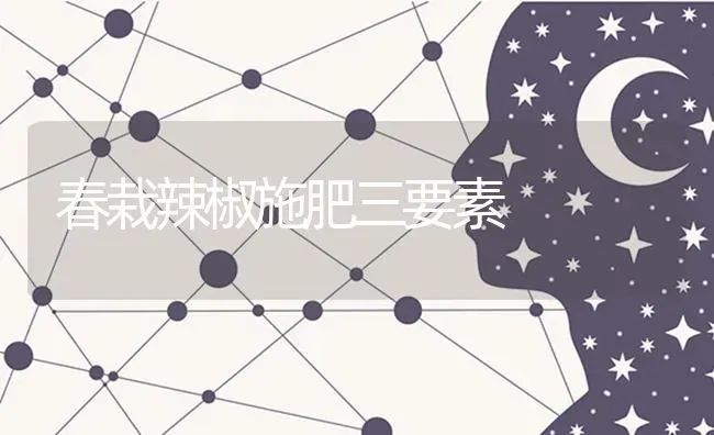 春栽辣椒施肥三要素 | 种植肥料施肥