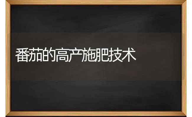 番茄的高产施肥技术 | 种植肥料施肥
