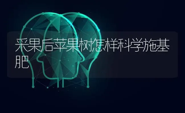 采果后苹果树怎样科学施基肥 | 瓜果种植