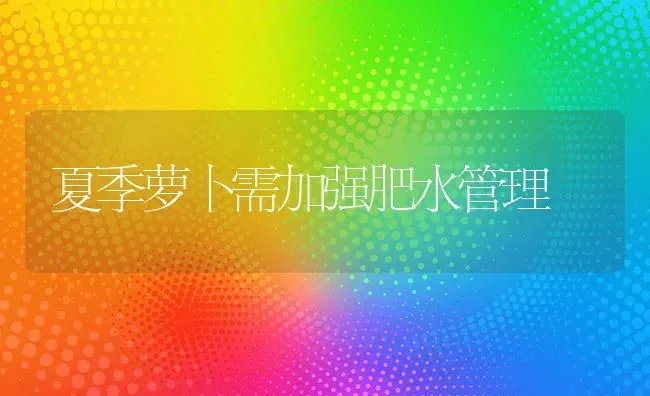 夏季萝卜需加强肥水管理 | 蔬菜种植
