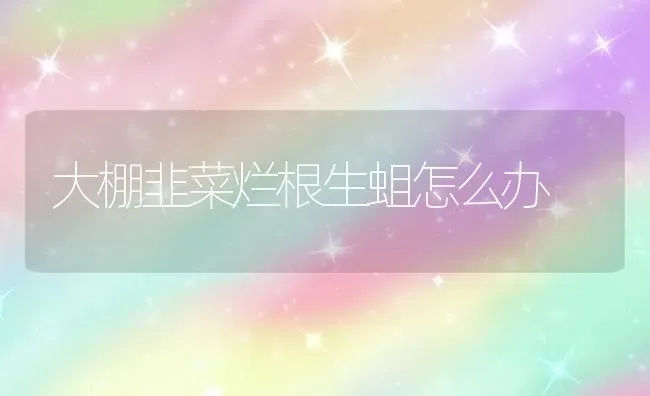 大棚韭菜烂根生蛆怎么办 | 蔬菜种植