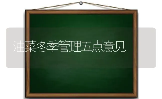 油菜冬季管理五点意见 | 粮油作物种植
