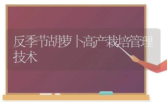 反季节胡萝卜高产栽培管理技术 | 蔬菜种植