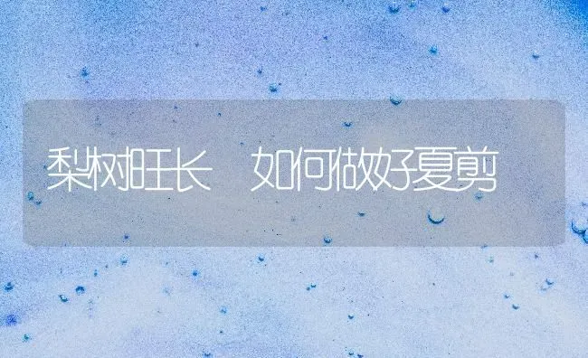 梨树旺长 如何做好夏剪 | 瓜果种植