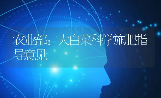 农业部：大白菜科学施肥指导意见 | 种植肥料施肥