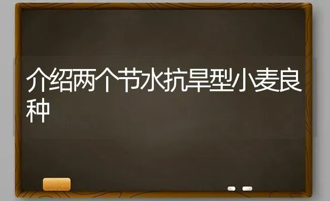 介绍两个节水抗旱型小麦良种 | 粮油作物种植