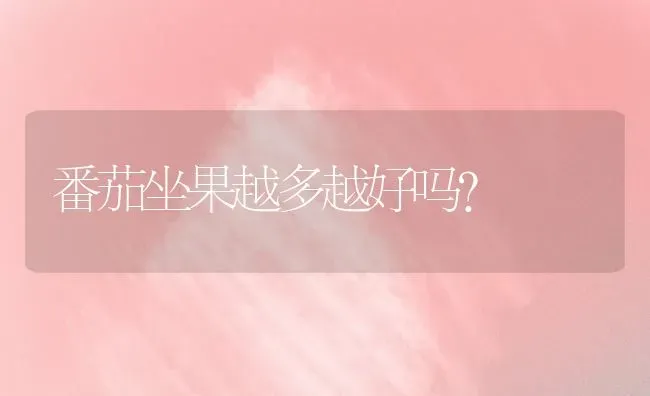 番茄坐果越多越好吗？ | 瓜果种植