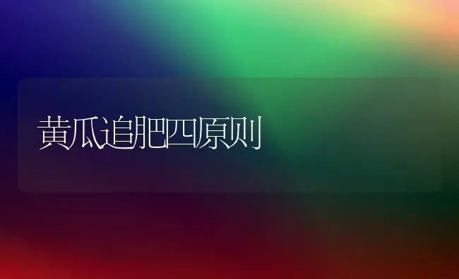 黄瓜追肥四原则 | 蔬菜种植