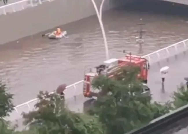 植物种类|陕西紫阳暴雨洪水穿房而过 提醒着我们保护地球