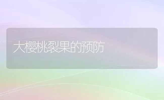 大樱桃裂果的预防 | 瓜果种植