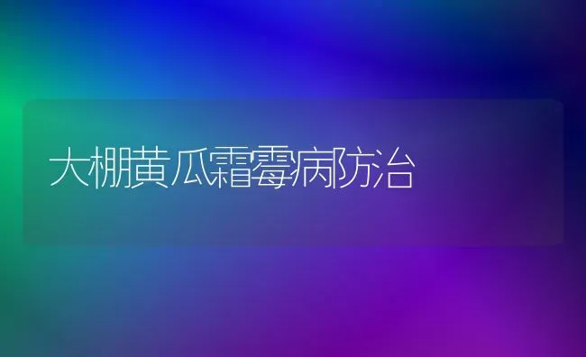 大棚黄瓜霜霉病防治 | 蔬菜种植