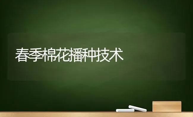 春季棉花播种技术 | 粮油作物种植