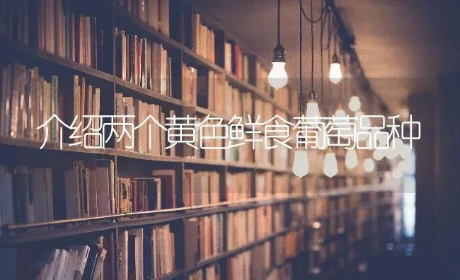 介绍两个黄色鲜食葡萄品种 | 瓜果种植