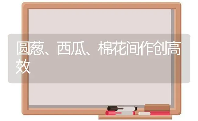 圆葱、西瓜、棉花间作创高效 | 瓜果种植