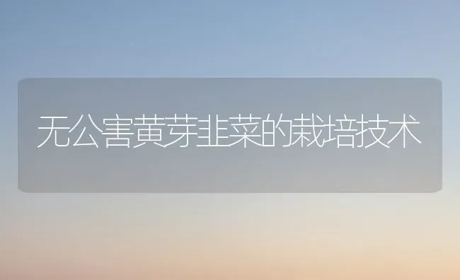 无公害黄芽韭菜的栽培技术 | 蔬菜种植