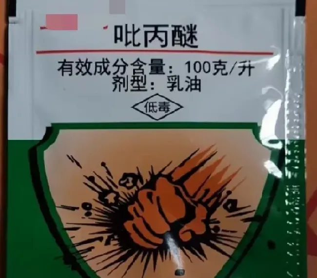 植物虫害|蔬菜大青虫用什么药杀死（青菜上的青虫处理防治方法）