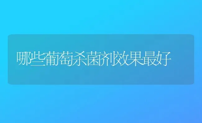 哪些葡萄杀菌剂效果最好 | 瓜果种植