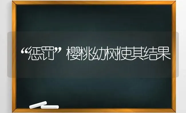 “惩罚”樱桃幼树使其结果 | 瓜果种植